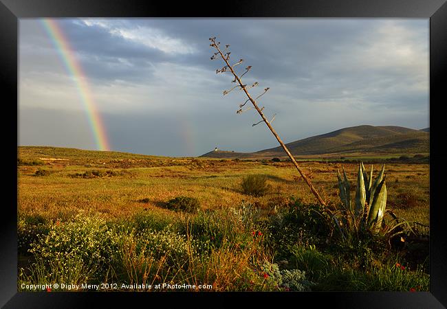 Rain and Rainbow Framed Print by Digby Merry