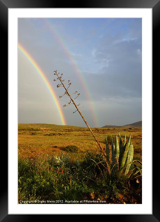 Agave with Rainbow Framed Mounted Print by Digby Merry