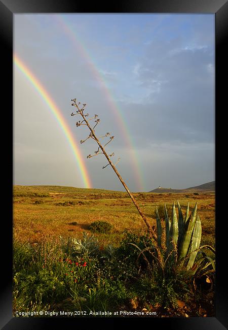 Agave with Rainbow Framed Print by Digby Merry