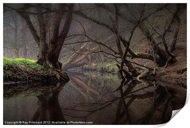 Reflections On The River Team Print by Ray Pritchard