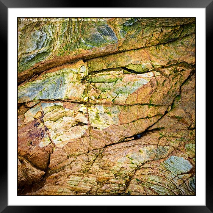 Painted by Nature Framed Mounted Print by LIZ Alderdice