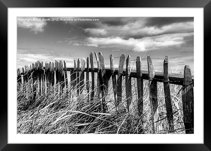 East Coast Fence. Framed Mounted Print by Rob Booth