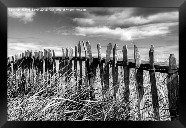 East Coast Fence. Framed Print by Rob Booth