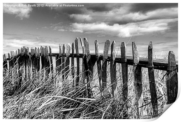 East Coast Fence. Print by Rob Booth