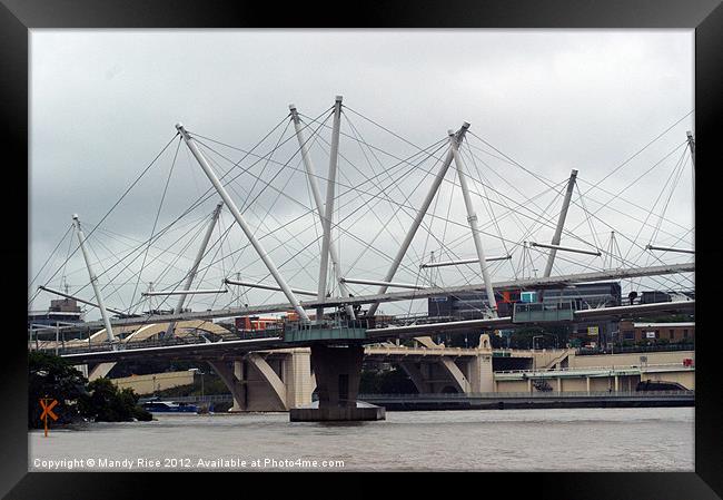 Kurilpa Bridge across Brisbane River Framed Print by Mandy Rice