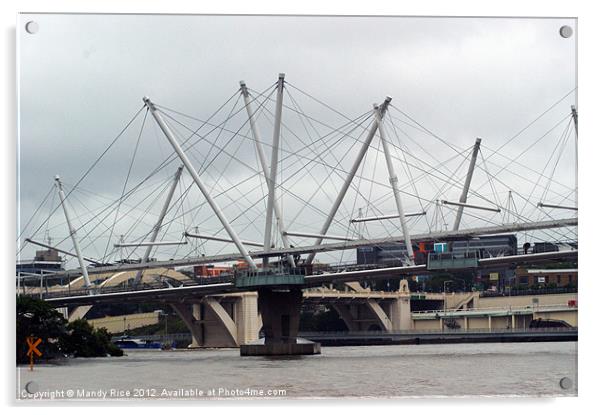 Kurilpa Bridge across Brisbane River Acrylic by Mandy Rice