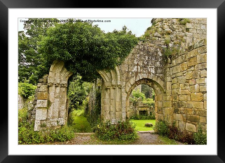 Jervaulx Abbey Ruins Framed Mounted Print by Trevor Kersley RIP