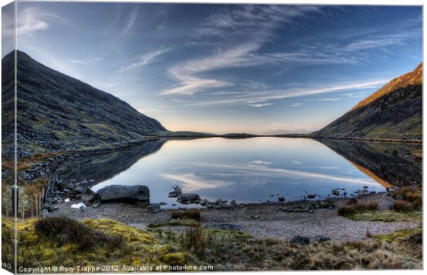 Llyn Manod - April 2012 Canvas Print by Rory Trappe