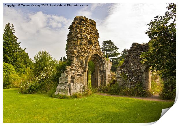 Jervaulx Abbey Ruins Print by Trevor Kersley RIP