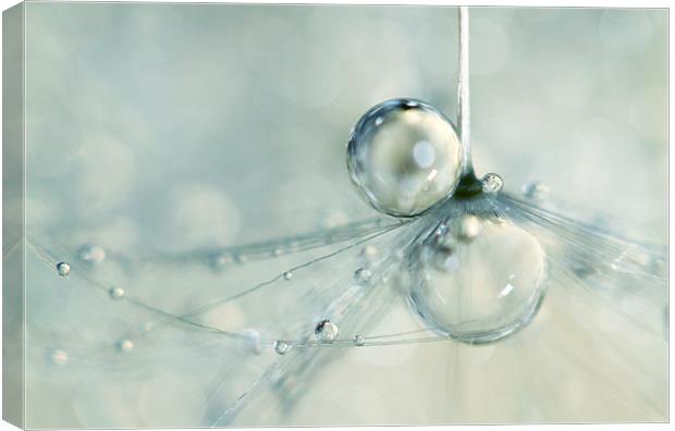 Droplets in Blue Canvas Print by Sharon Johnstone