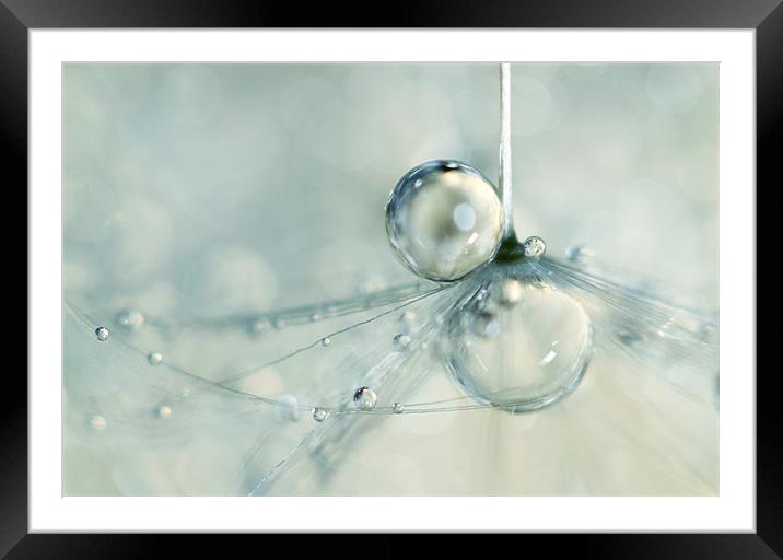 Droplets in Blue Framed Mounted Print by Sharon Johnstone