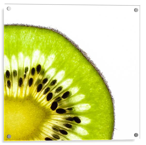 Kiwi Acrylic by Sam Burton