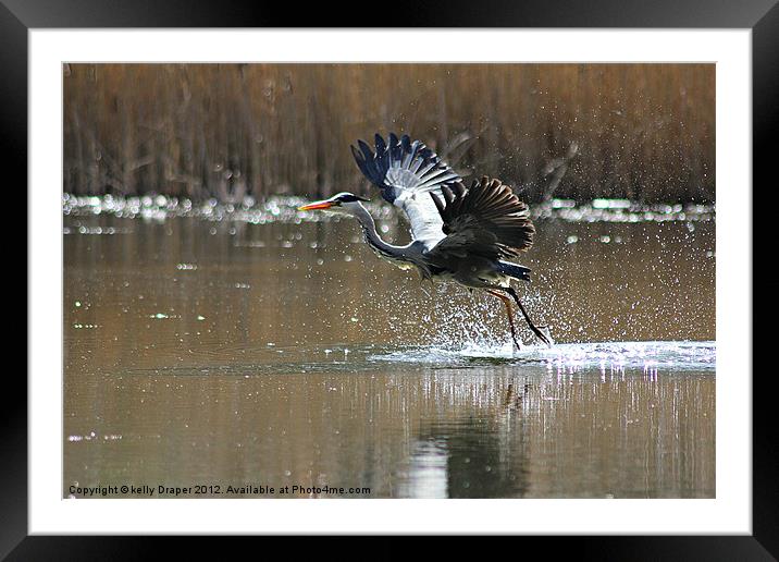 Get Ready For Take Off Framed Mounted Print by kelly Draper