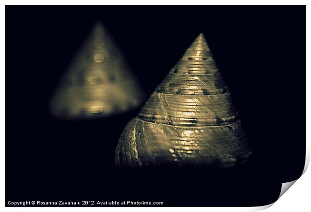 Two seashells.. Print by Rosanna Zavanaiu