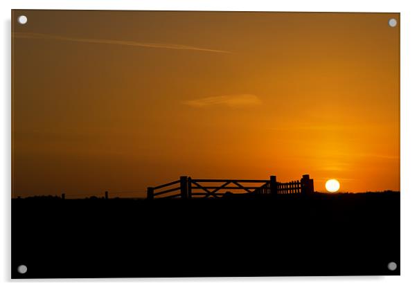 sunset silhouette Acrylic by Northeast Images