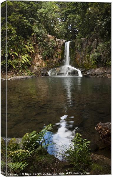 Waiau Falls Canvas Print by Creative Photography Wales