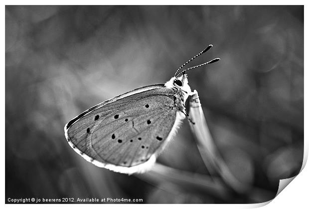 paint it black (and white) Print by Jo Beerens