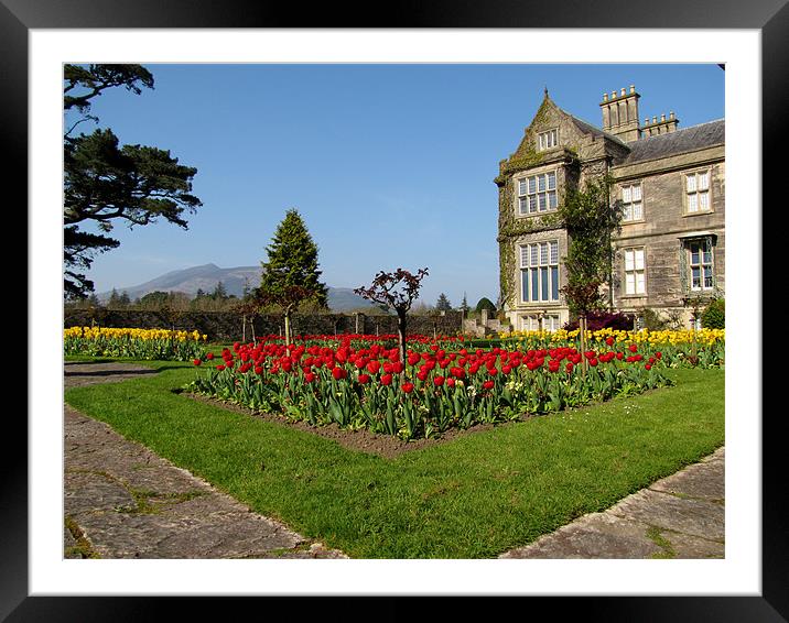 Muckross House Framed Mounted Print by barbara walsh
