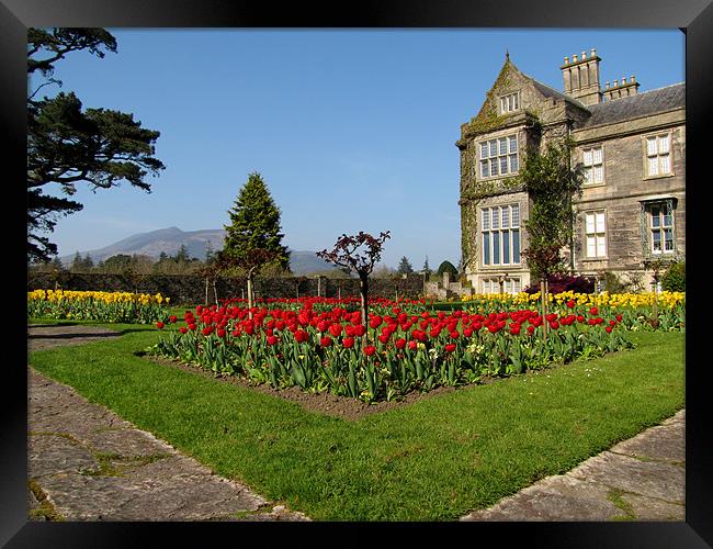 Muckross House Framed Print by barbara walsh