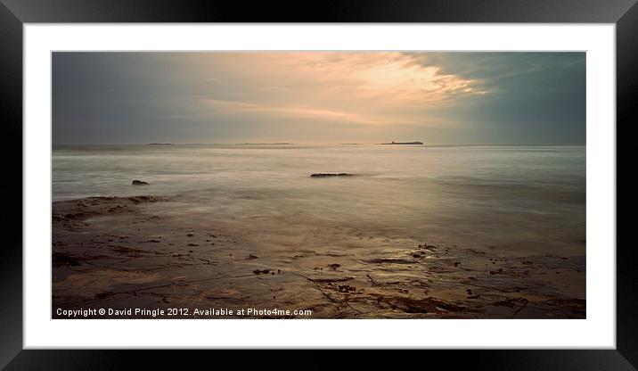 Northumberland Coast Framed Mounted Print by David Pringle