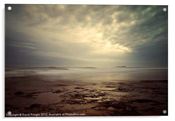 Northumberland Coast II Acrylic by David Pringle