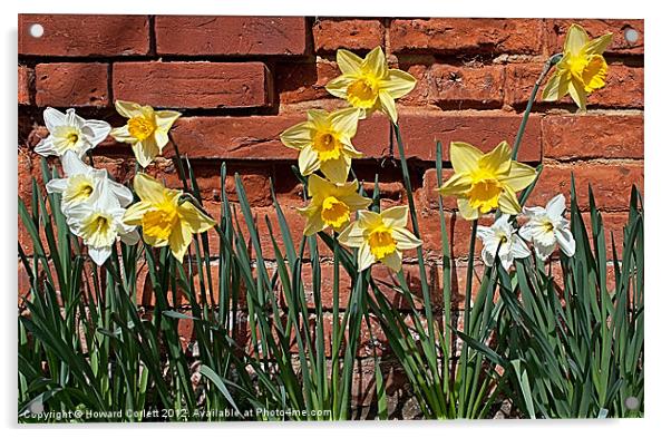 Spring delight Acrylic by Howard Corlett