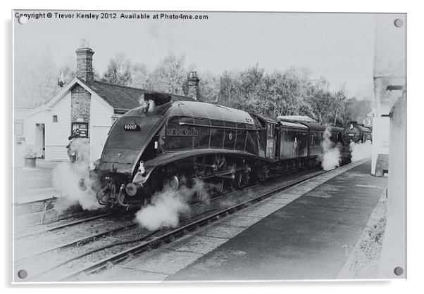 North Yorks Moors Railway Acrylic by Trevor Kersley RIP