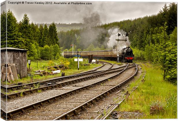 North Yorks Moors Railway Canvas Print by Trevor Kersley RIP