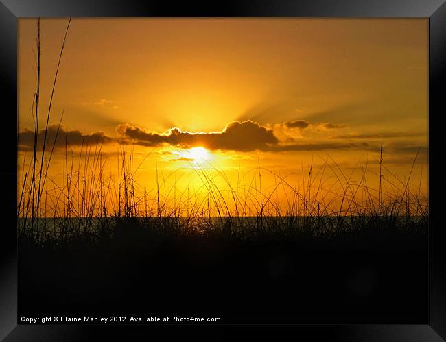 Golden Sunset Framed Print by Elaine Manley