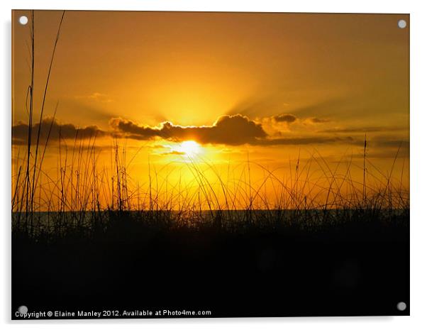 Golden Sunset Acrylic by Elaine Manley