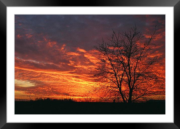 Autumn Sunset Framed Mounted Print by Donna-Marie Parsons