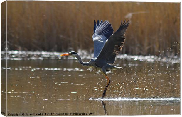 Walking On Water Canvas Print by Jules Camfield