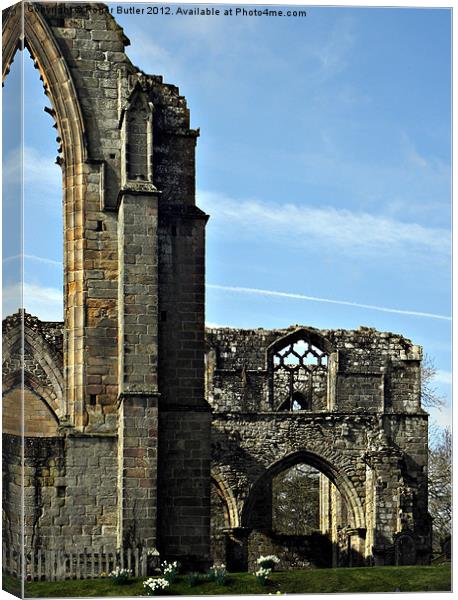 Bolton Abbey Arch Windows Canvas Print by Roger Butler
