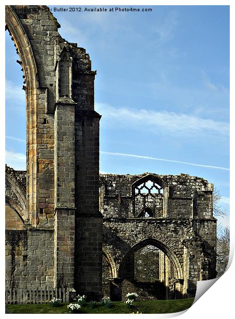 Bolton Abbey Arch Windows Print by Roger Butler
