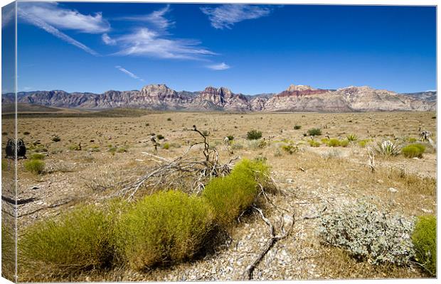 Red Rock Canyon Canvas Print by Adam Duffield