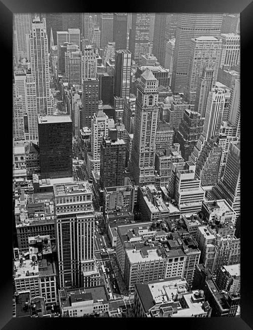 NYC - B&W Framed Print by Tom Gomez