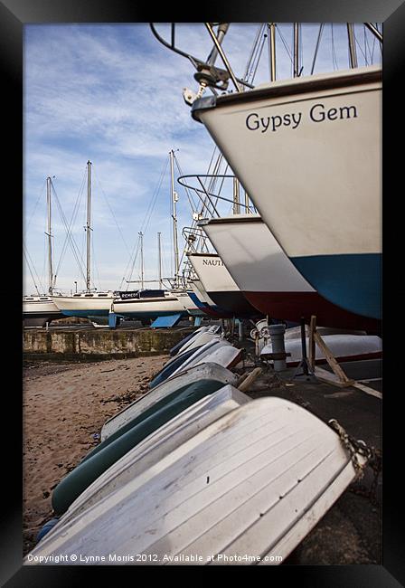 High And Dry Framed Print by Lynne Morris (Lswpp)