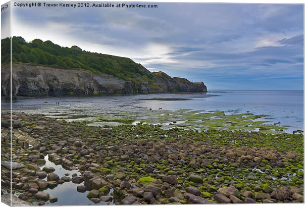 The Headland Canvas Print by Trevor Kersley RIP