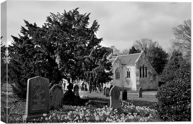 Churchyard in Spring b/w Canvas Print by John Biggadike