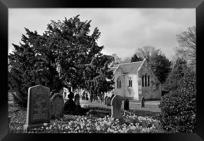 Churchyard in Spring b/w Framed Print by John Biggadike