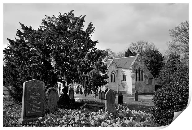 Churchyard in Spring b/w Print by John Biggadike