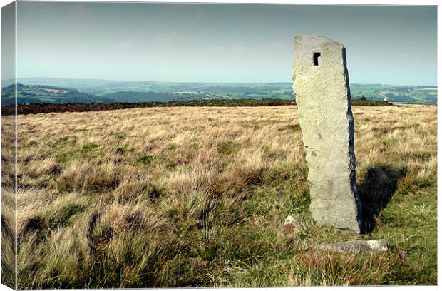 Stone on the Moor Canvas Print by Robert Gipson