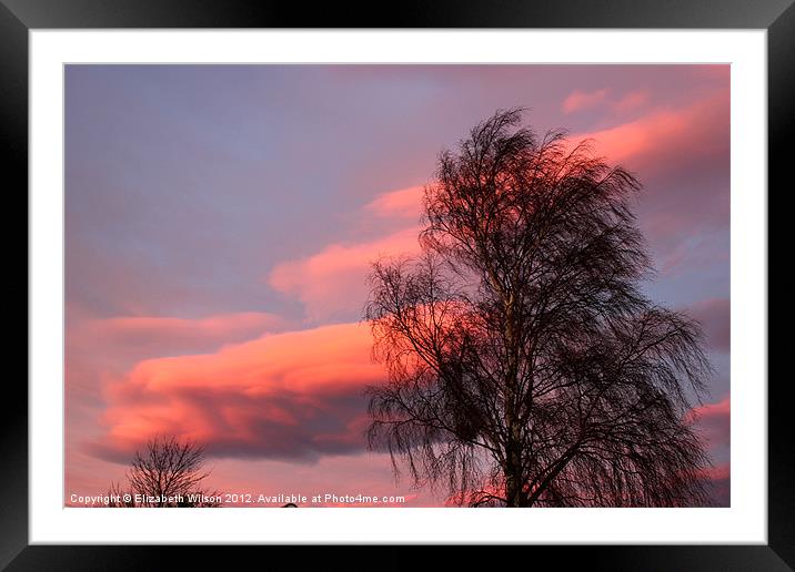 Tree, Clouds and Sunset Framed Mounted Print by Elizabeth Wilson-Stephen