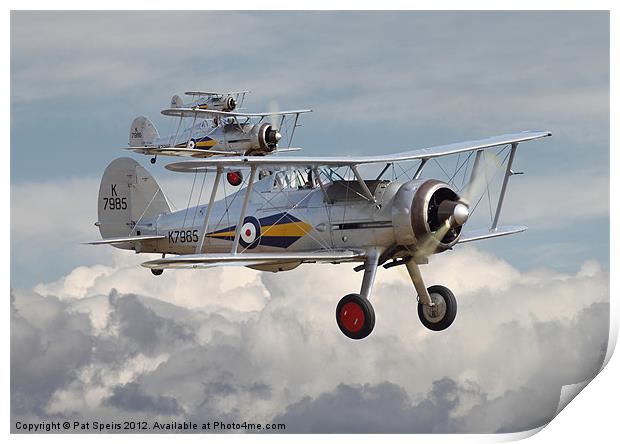 Gloster Gladiator Print by Pat Speirs