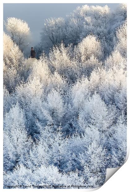 Snow Cottage Print by David Tinsley