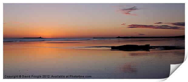 Warkworth Beach Sunrise Print by David Pringle