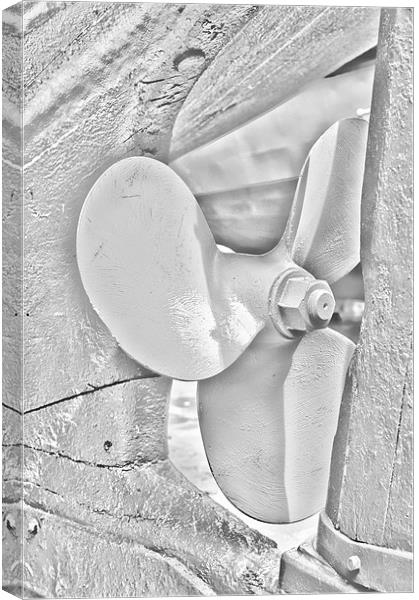 Propeller Sketch Canvas Print by Steve Purnell