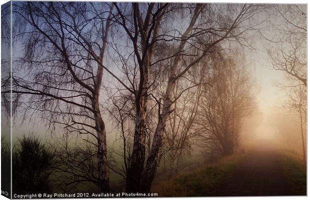 Bowes Cycle Path in the Mist Canvas Print by Ray Pritchard