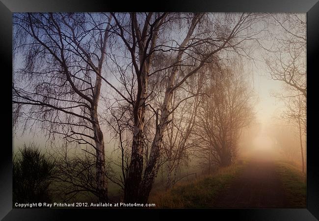 Bowes Cycle Path in the Mist Framed Print by Ray Pritchard