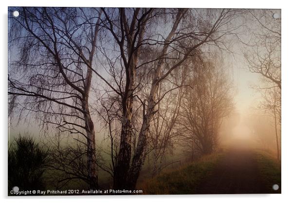 Bowes Cycle Path in the Mist Acrylic by Ray Pritchard